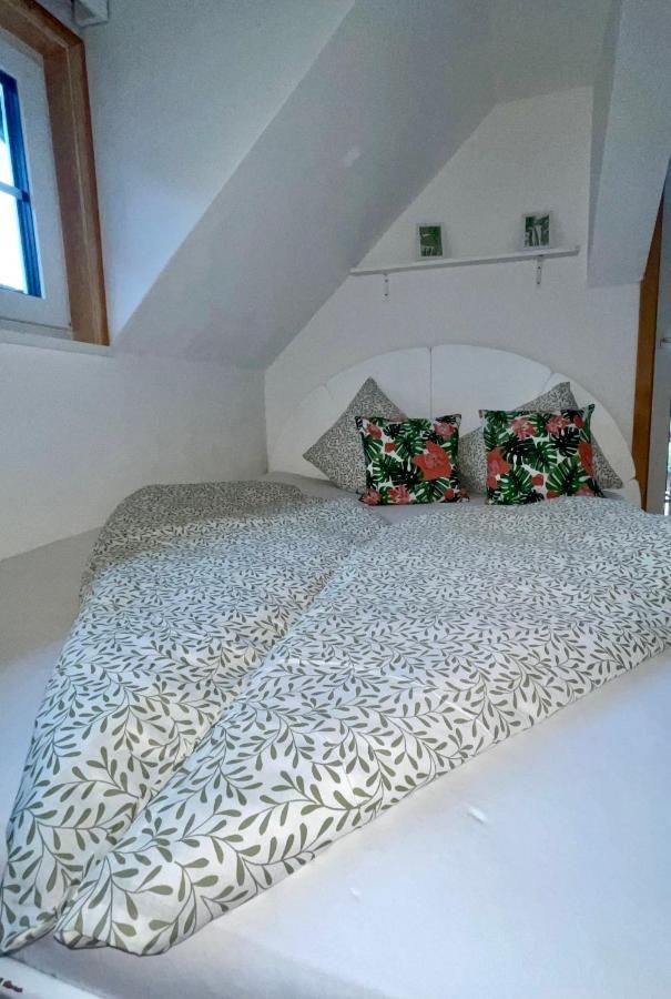 Almsternderl 2.0 - Gemuetliches Appartment In Gosau Εξωτερικό φωτογραφία