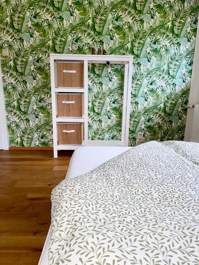 Almsternderl 2.0 - Gemuetliches Appartment In Gosau Εξωτερικό φωτογραφία